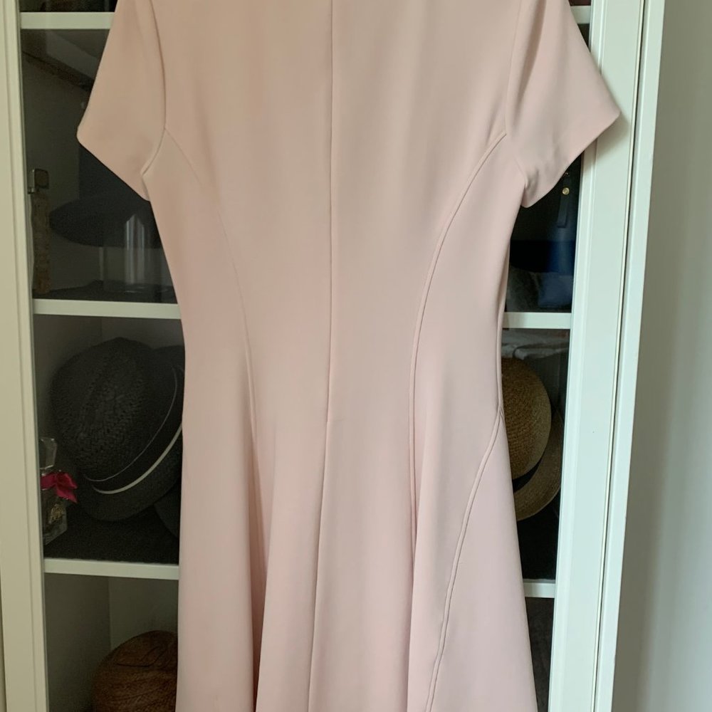 NWOT Theory Modern Seamed Shift Dress in Crepe - Sheer Pink - Picture 4 of 9